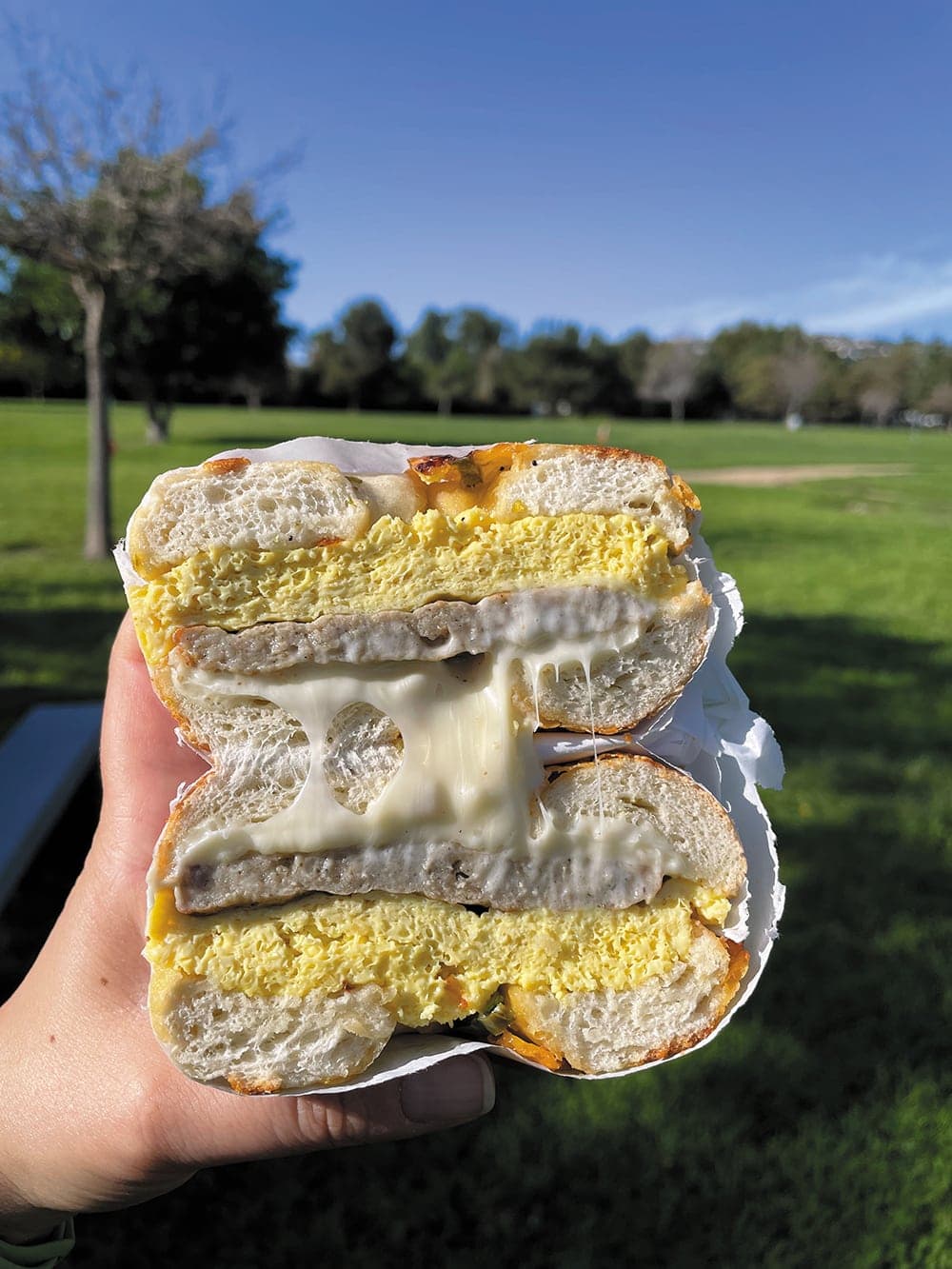 Bagel Galore’s egg, meat, and cheese breakfast bagel. (photo Sanam